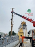 Thi công thực tế 96