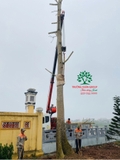 Thi công thực tế 96
