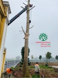Thi công thực tế 96