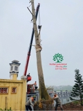 Thi công thực tế 96