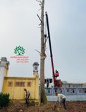 Thi công thực tế 96