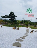 Sân vườn 56