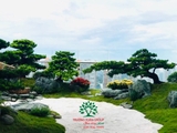 Sân vườn 57