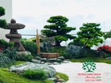 Sân vườn 57