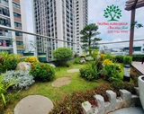 Sân vườn 57