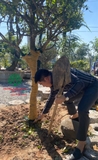 Thi công thực tế 97