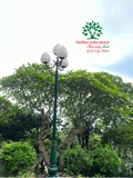 Cây Đại