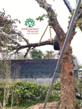 Thi công thực tế 100