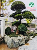 Thi công thực tế 101