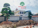 Thi công thực tế 101