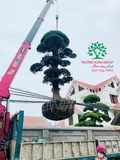 Thi công thực tế 101