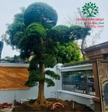 Thi công thực tế 101