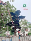 Thi công thực tế 101