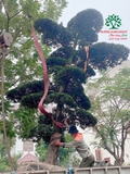 Thi công thực tế 101