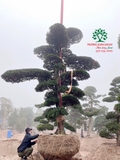 Thi công thực tế 101