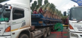 Thi công thực tế 103