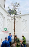 Thi công thực tế 102