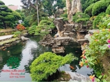 Hồ cá Koi 57