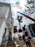 Thi công thực tế 104