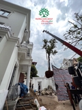 Thi công thực tế 104