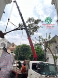 Thi công thực tế 104