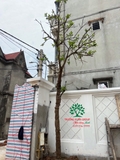 Thi công thực tế 104