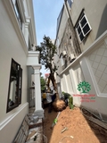 Thi công thực tế 104
