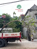 Thi công thực tế 104