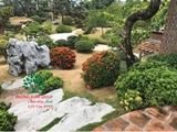 Sân vườn 62