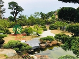 Hồ cá Koi 59