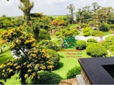 Sân vườn 62