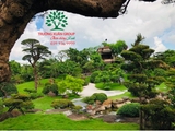 Sân vườn 62