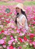 Hoa Cánh Bướm