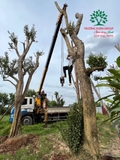 Thi công thực tế 107
