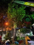 Thi công thực tế 106