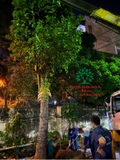 Thi công thực tế 106