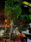 Thi công thực tế 106
