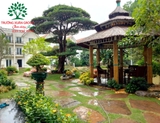 Sân vườn 70