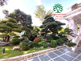 Sân vườn 70
