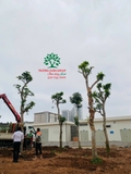 Thi công thực tế 108