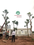 Thi công thực tế 108