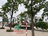 Thi công thực tế 108