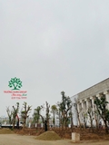 Thi công thực tế 108