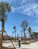 Thi công thực tế 109