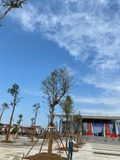 Thi công thực tế 109