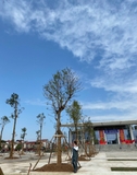 Thi công thực tế 109