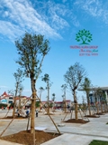 Thi công thực tế 109