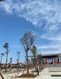 Thi công thực tế 109