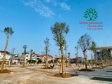 Thi công thực tế 109