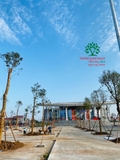 Thi công thực tế 109